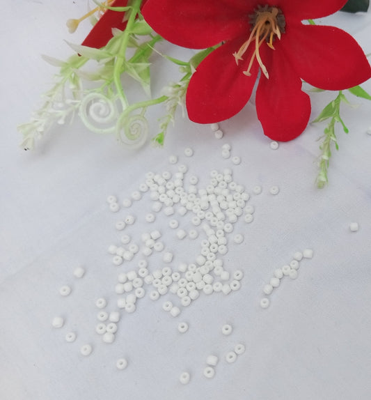 25 GRAM WHITE SEED BEADS